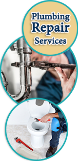 professional plumbing repair services